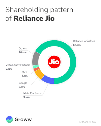 Understand Shareholding Pattern in 10 Minutes