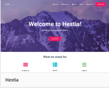 WordPress Themes for 2024 - hestia